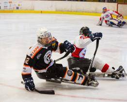 Sledge hokejisté Zlína na úvod sezony změří síly se Spartou a Karlovými Vary
