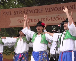 Lidé si užili víno i kulturu při Strážnickém vinobraní