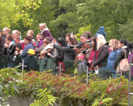 Ve zlínské zoo se sešly pěstounské rodiny