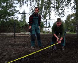 Lipová ratolest dala místu poničenému tornádem novou tvář