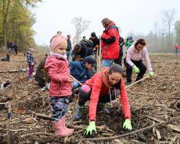 Zaměstnanci krajského úřadu vysadili stovky stromků 