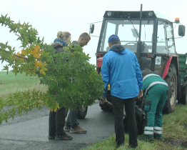 V Otrokovicích už potřetí sázeli budoucnost