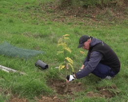 Sad skanzenu Rochus se opět rozrůstá