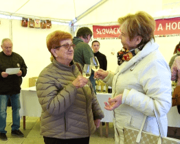 Svatomartinské slavnosti nabídly mladá vína už po dvanácté