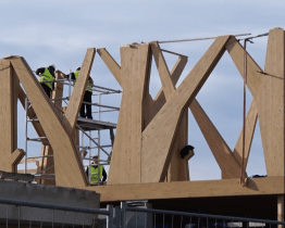 Domu přírody bude dominovat prosklené patro s duby