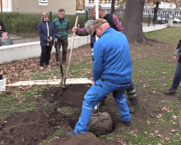 Obyvatelé Bažantnice vysadili další stromy