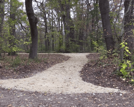 Do zámecké bažantnice zavedou návštěvníky nové cesty