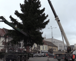 Na Masarykově náměstí už stojí vánoční strom
