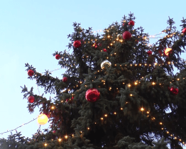 V Napajedlích slavnostně rozsvítili vánoční strom