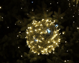 Rozsvícení vánočního stromu si nenechaly ujít stovky lidí