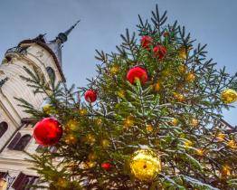 Děti do 15 let mají na Štědrý den do zlínské zoo vstupné jen za korunu