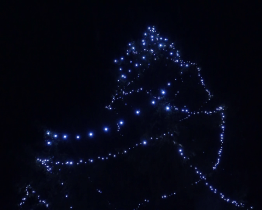 Vánoční strom rozsvítili také v Sadech