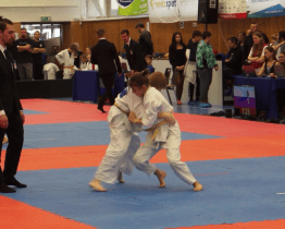 Veselí hostilo Šampionát Moravy mláďat 