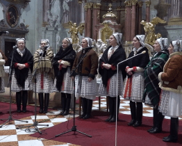 Rok seniora vyvrcholil benefičním koncertem