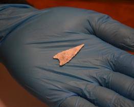 Holešovské šípy z pozdní doby bronzové zabíjely lidi, potvrdili vědci