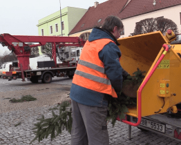Vánoční stromy se mění na mulč