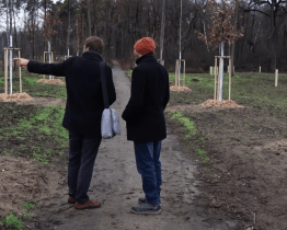 Příměstský lesopark už je téměř zalesněný