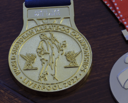 Na kyjovskou radnici přišel i mistr světa v karate