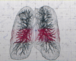 Lékaři plicního oddělení UHN připravili program proti kouření