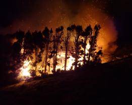 V Jaroslavicích v noci hořel rodinný dům. Jak k požáru došlo, se zatím neví
