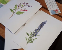 Sbírka má podpořit vydání pohádkového příběhu