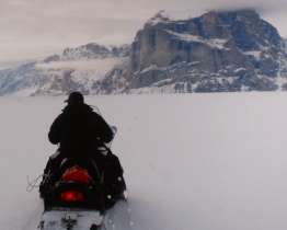 Expediční kamera vzala návštěvníky kina až na arktický ostrov