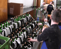 Josefský košt ve Strážnici nabídl 520 vzorků od místních i přespolních vinařů