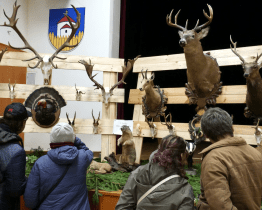 Staré Město hostilo výstavu mysliveckých trofejí