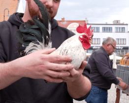 Broďané oslavili na Masarykově náměstí Den Země