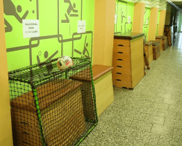 ZŠ Sportovní rozšíří nářaďovnu