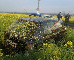 Mladík jedoucí k maturitě skončil s autem v řepkovém poli