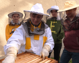 Gymnazistům přežila zimu obě včelstva v dobré kondici 