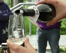 Pro milovníky vína budou k dispozici Otevřené sklepy