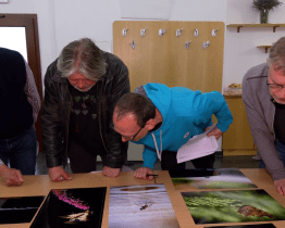 Porota vybírala fotografie na 45. ročník fotosoutěže TSTTT