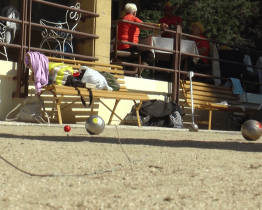 Lipánci ze Vsetína vyhráli Senior cup i bez tréninku