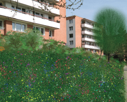 Na Jižních Svazích vznikne „zelený ostrov“. O co půjde?