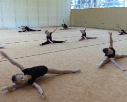 Moderní gymnastky z Veselí získaly tituly mistryň ČR