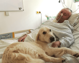 Baťovka hledá dobrovolníky pro trávení času s pacienty