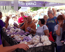 Česnekové buchlovské limončelo bylo novinkou k ochutnání