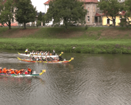 Dračí lodě ovládly řeku Moravu 