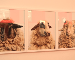 Slovácké muzeum představuje práce Institutu tvůrčí fotografie 