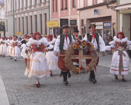 Úroda ve Zlínském kraji je ze dvou třetin pod střechou