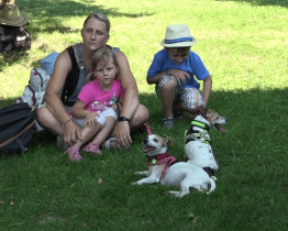 Jarošovská pouť vítá také pejskaře