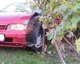 Opilý řidič nechtěně navštívil vinohrad