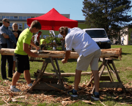 Festival stavebních řemesel se letos inspiroval přírodou