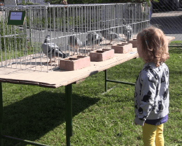 Chovatelé uspořádali pro děti přehlídku zvířat