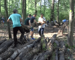 V příměstském lese v Bažantnici vznikly tři palouky
