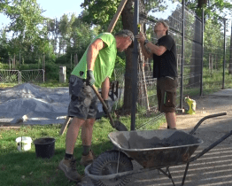 Za tygry či zebrami vyrazí nakonec návštěvníci Zoo Hodonín bez omezení