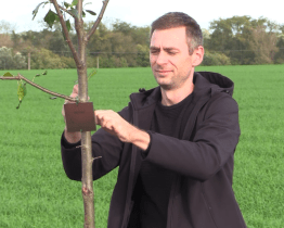 Alej života vyrostla za Milokoští