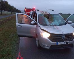 Nepříjemný zážitek skončil pro řidiče osobního vozidla relativně dobře. Srna měla méně štěstí